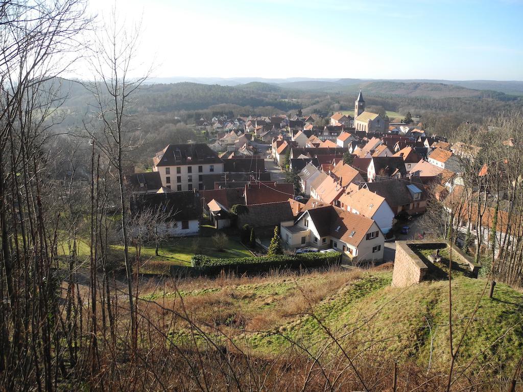 Au Pied Du Chateau Lichtenberg Rum bild