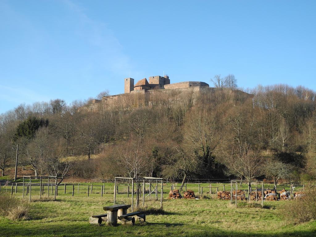 Au Pied Du Chateau Lichtenberg Rum bild